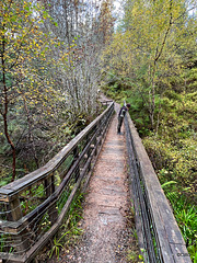 Bridge across a small gorge