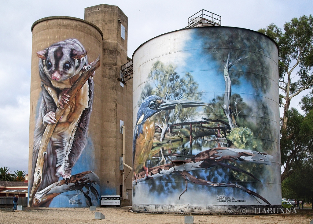 Rochester silos