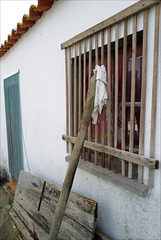 Penedos, fenced window, HFF