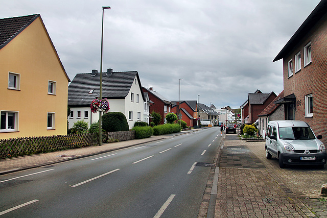 Von-Thünen-Straße (Hamm-Westtünnen) / 6.07.2024