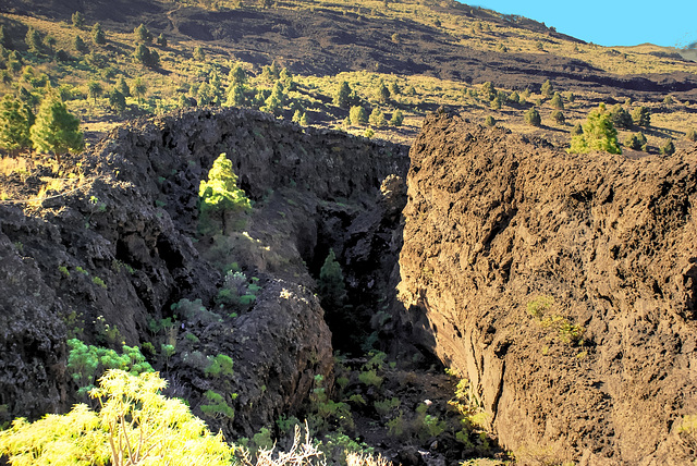 Von Los Llanos nach Süden. Lavagraben zum Meer hinunter.  ©UdoSm