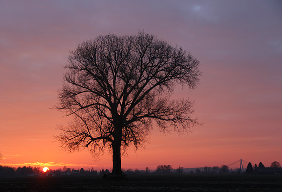 Abendspaziergang