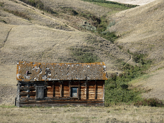 Part of an old miners' camp