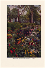 Garden Bulbs In Color, 1938/1945