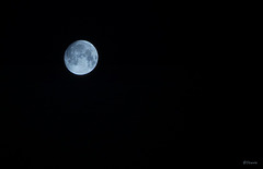 Der Mond über Radolfzell