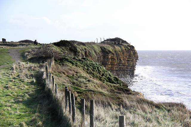 Cliff Path
