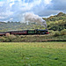 Hawksworth GWR 6959 class Modified Hall 4-6-0 6990 WITHERSLACK HALL at Esk Cottages with the 14.44 Grosmomt - Pickering service 28th September 2019.