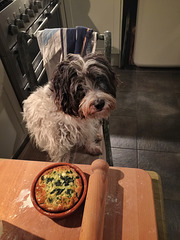 radish helping with the cookings