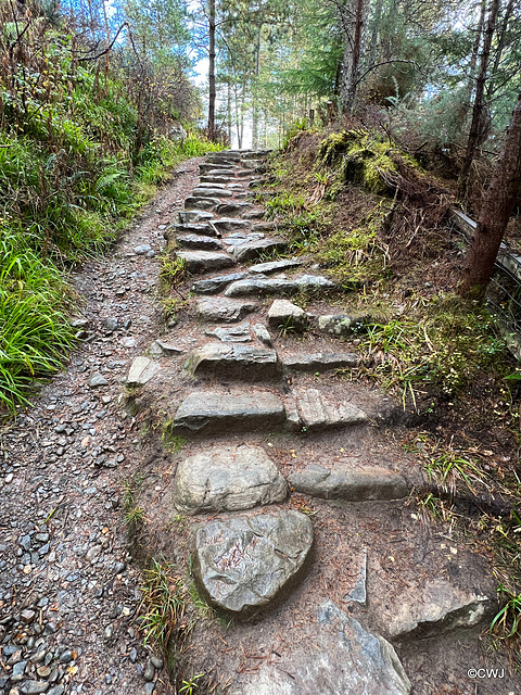 Old stone steps on the track to the Fyrish Monument