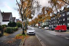 Tippelsberger Straße (Bochum-Riemke) / 11.11.2023