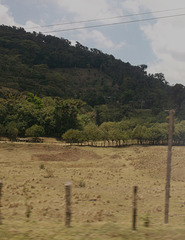 Paysage du Nicaragua avec deux fils inclus....