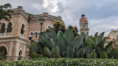 Végétation et horloge de culte / Vegetation and clock to worship