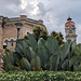 Végétation et horloge de culte / Vegetation and clock to worship
