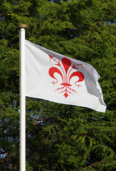 Florence flag