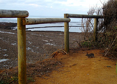 HFF HAPPY FENCE FRIDAY...