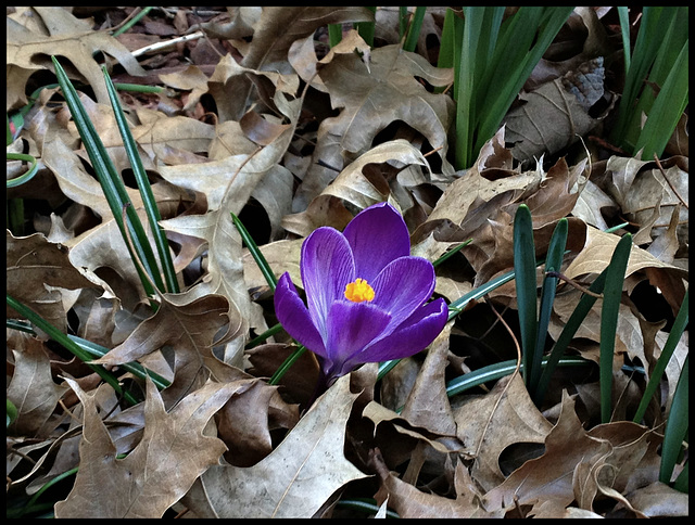 On an Early Spring day