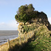 Cliff Path