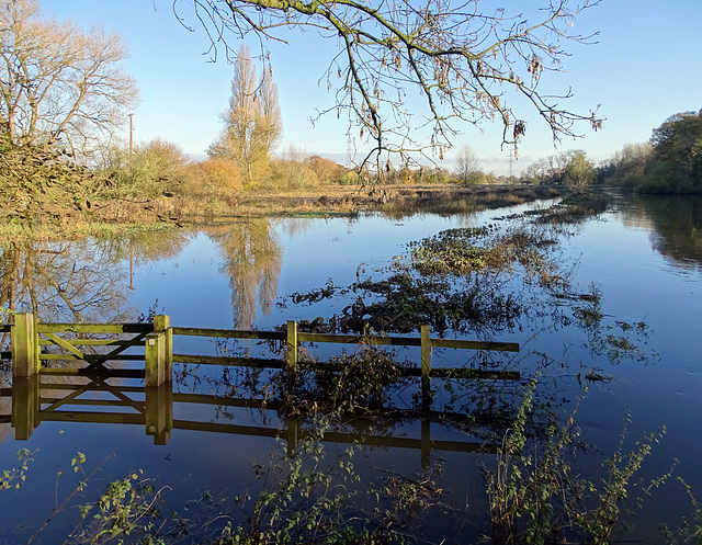 Attingham floating fence Attingham floating fence
