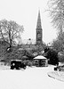 Botanic Gardens in the Snow