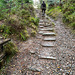 Old stone steps on the track to the Fyrish Monument