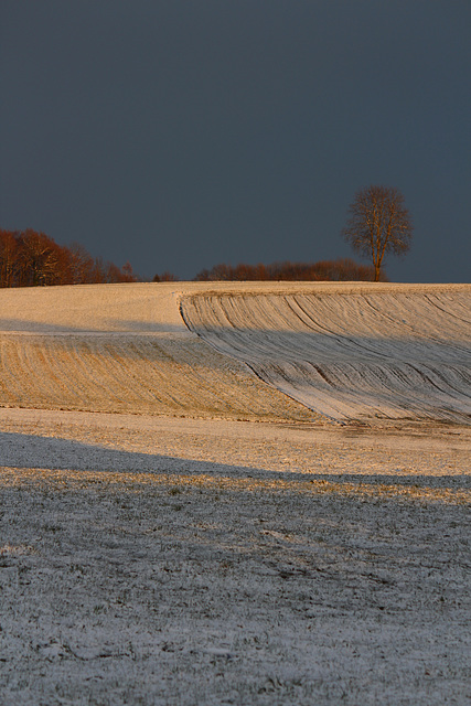 L'hiver arrive