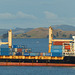 An Auckland Harbour Evening (1) - 22 February 2015