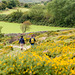 Wandern im Dartmoor - 20150831