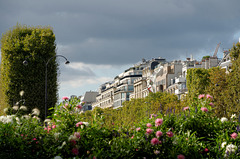 Champs-Elysées