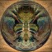 Circle