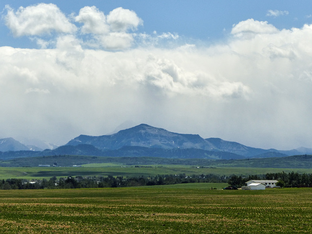 On the way south to Waterton