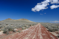 Just another dirt road near the Malheur Field Station 2T2B3697