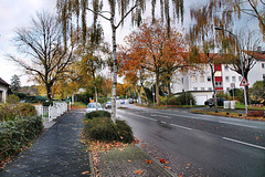 Tippelsberger Straße (Bochum-Riemke) / 11.11.2023