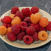 246-365, Herbsthimbeeren