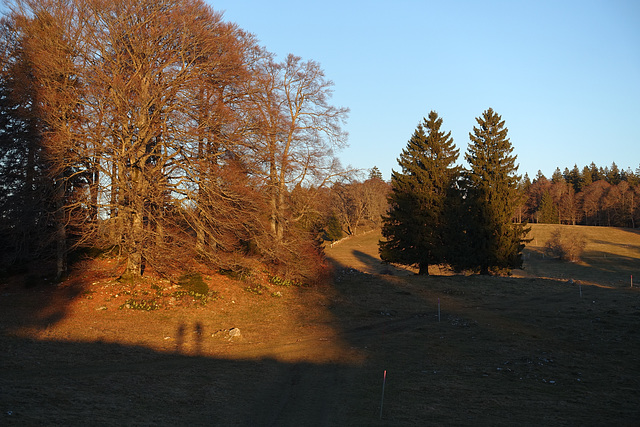 DSC03452