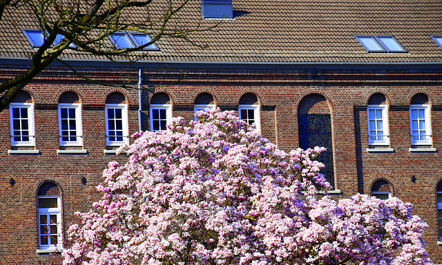 The old st jozef Convent