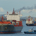 An Auckland Harbour Evening (2) - 22 February 2015