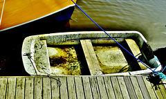 Things I saw at St Peters Marina