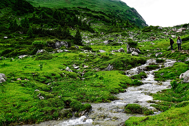 Noch ist der Formarinbach ein Rinnsal ...  Yet the brook Formarinbach is a trickle ...