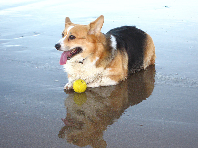 Tricky on the beach South Bay