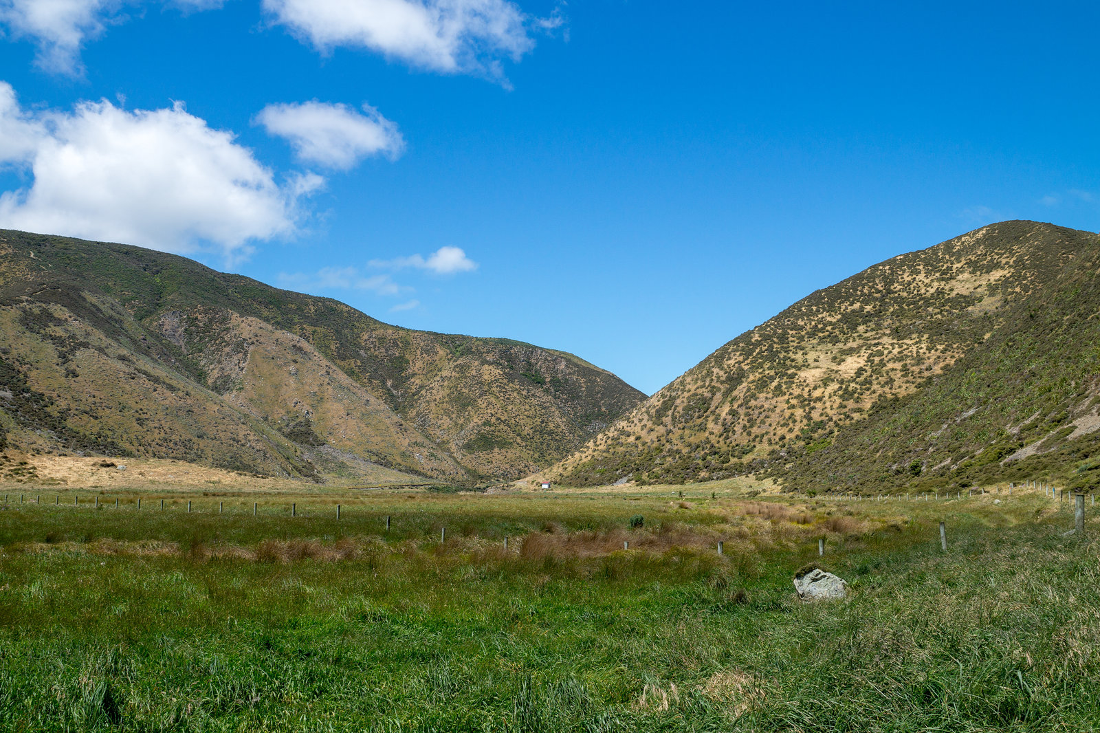 Neuseeland - Wainuiomata