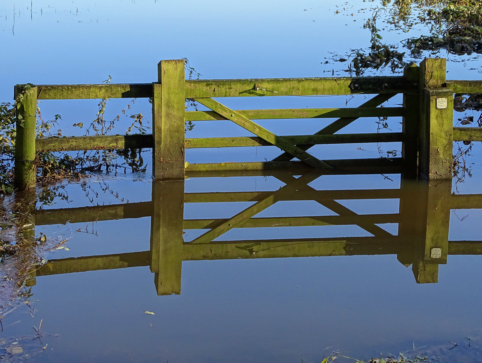 Happy floating fence Friday