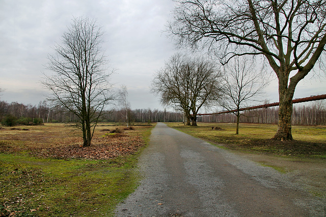 Zeche Friedrich Thyssen 4/8, ehemaliges Werksgelände (Duisburg-Beeck) / 8.02.2020