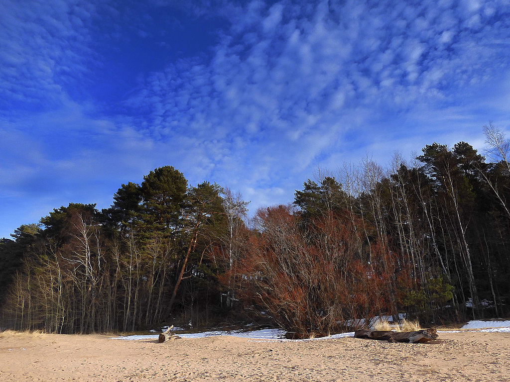 In the dunes...