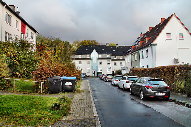 Elfenstraße (Bochum-Riemke) / 11.11.2023