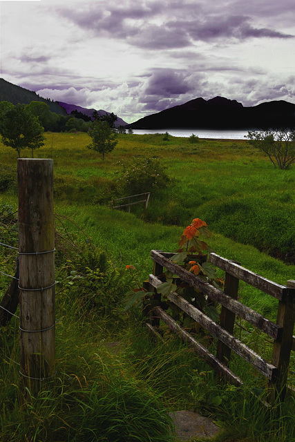 Fence Fence