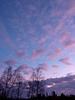 Paysage...
