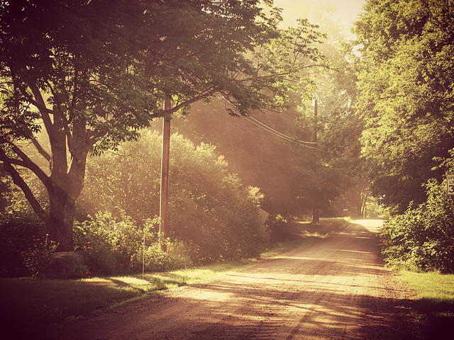 Good morning, Plantation Road.