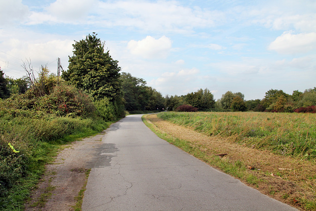 Am Hausgewann (Duisburg-Rumeln-Kaldenhausen) / 22.09.2017