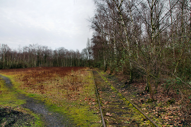 Zeche Friedrich Thyssen 4/8, Gleisreste (Duisburg-Beeck) / 8.02.2020