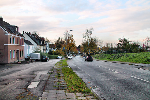 Tippelsberger Straße (Bochum-Riemke) / 11.11.2023